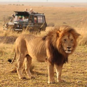 5 Days Scenic Tanzania Tour