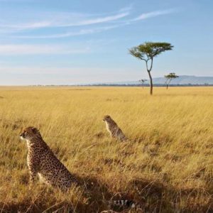 3 Days Living with the Large Tuskers – Amboseli National Park