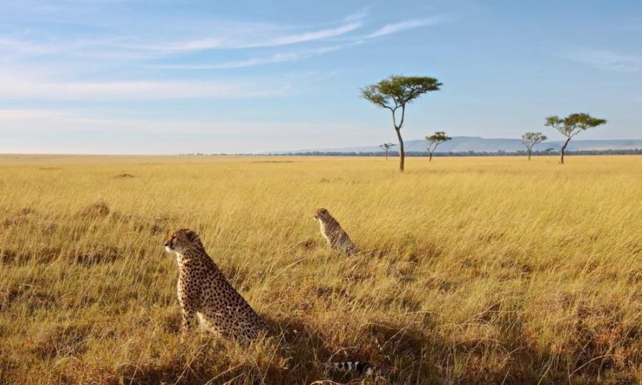 3 Day wildlife safari to Amboseli national park