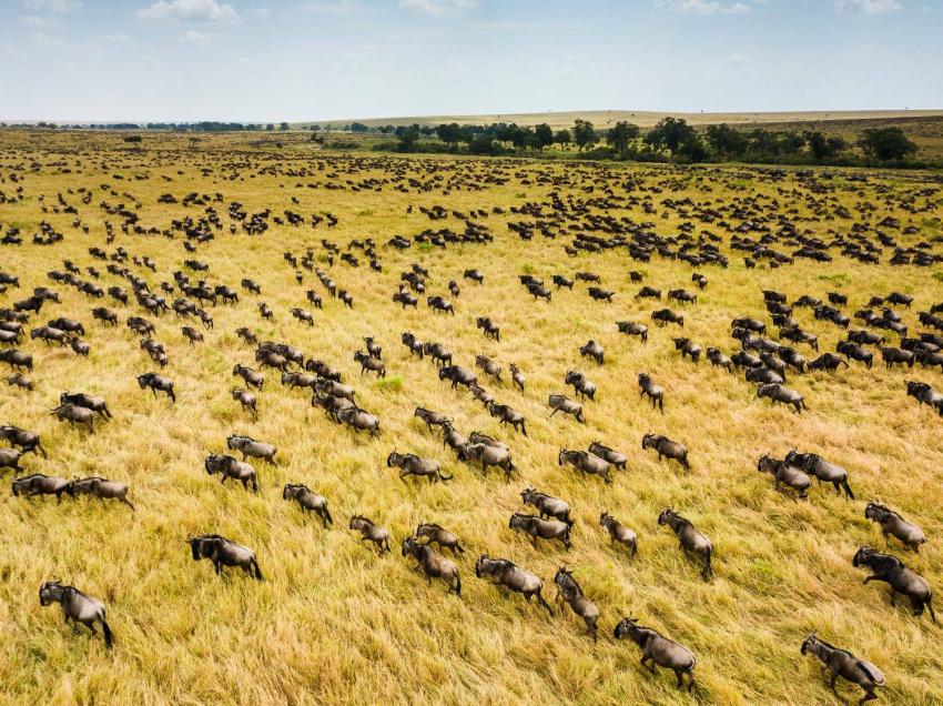 3 Days Masai Mara Safari