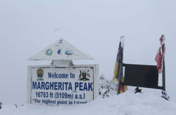 12 days trek to Margarita peak – Rwenzori Mountain – 5, 109 Meters