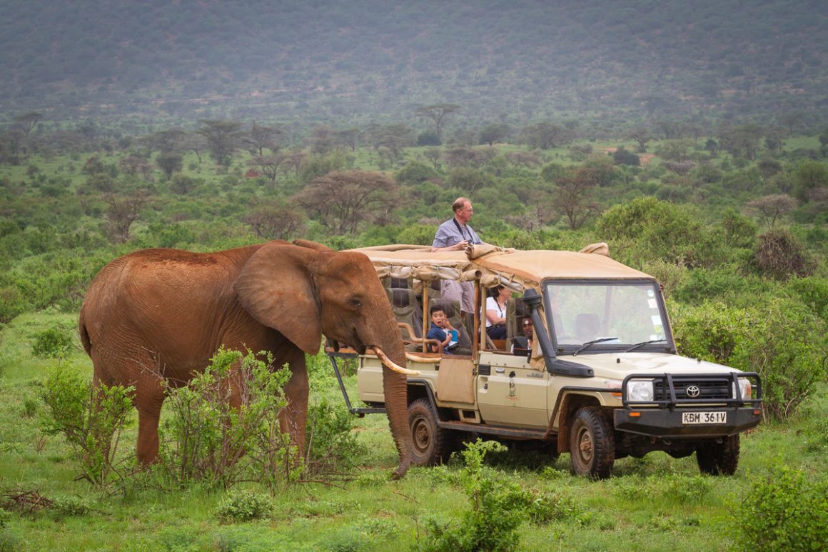 3 days wildlife safari to Amboseli