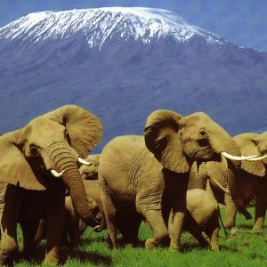 Top Kenya adventure places to visit in 2023