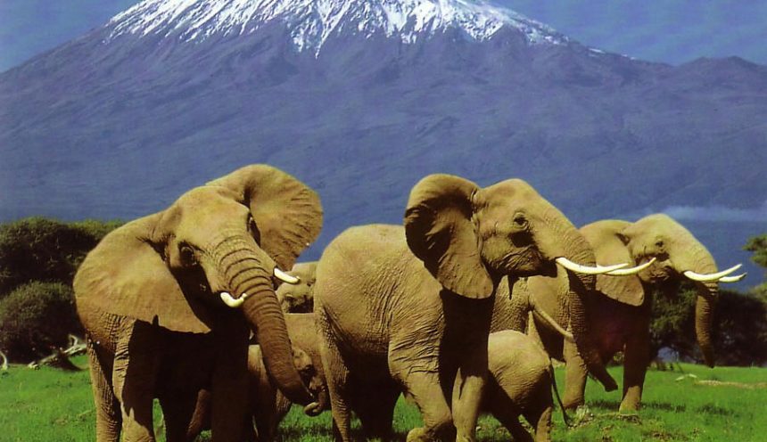 Top Kenya adventure places to visit in 2023
