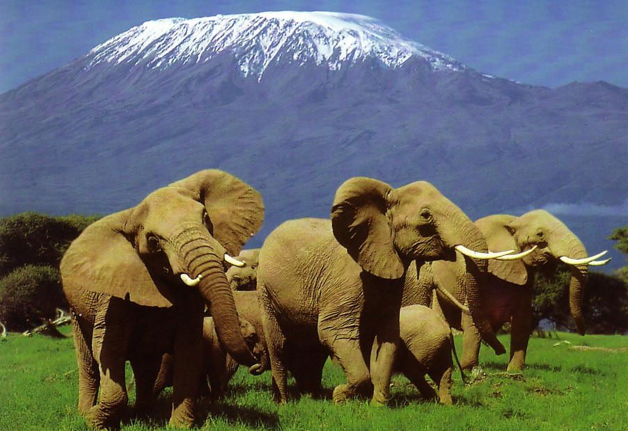 Top Kenya places to visit for 2023 adventure